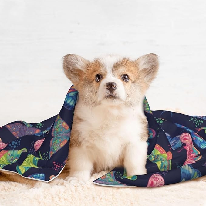 Double Sided Pet Bed Blanket for Added Cushion Warmth, Colorful Butterflies, Reversible Cover with Textured Dot Surface for Existing Beds Standalone Mat