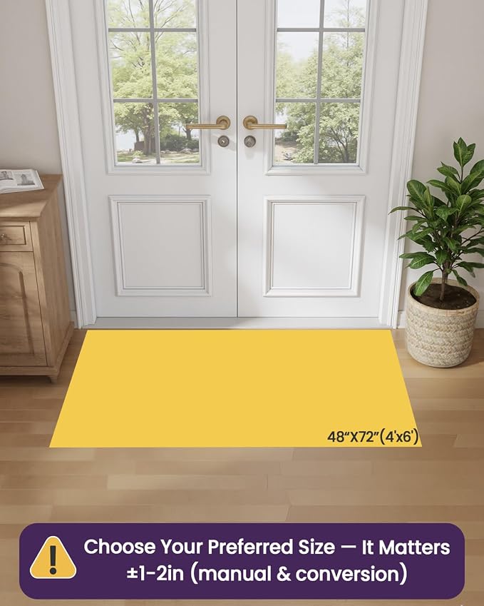 DEXI Ultra Thin Door Mat Indoor Entrance 48x72, Non Slip Rubber Backed Entryway