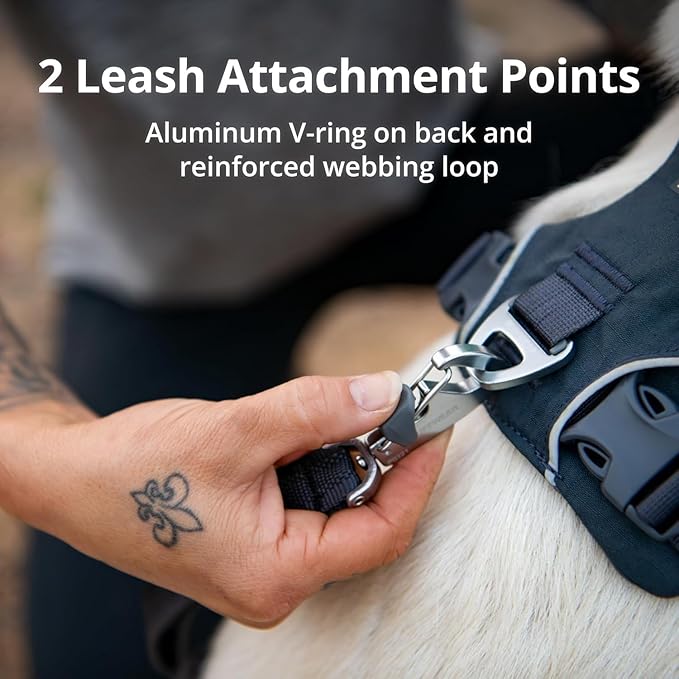 Ruffwear, Front Range Dog Harness, Reflective Soft Padded Everyday Harness with Dual Leash Clips, Adjustable and Lightweight Fit for Training or Walking for All Dogs, Spring Mountains, Large/X-Large