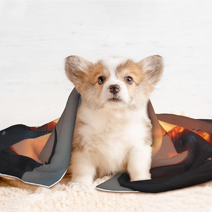 Castle Cool Fire Dragon Print Soft Plush Pet Blanket, Washable Dog Blanket, Cat Fleece Throw, Puppy Bed Crate Mat & Sofa Couch Protector - Large