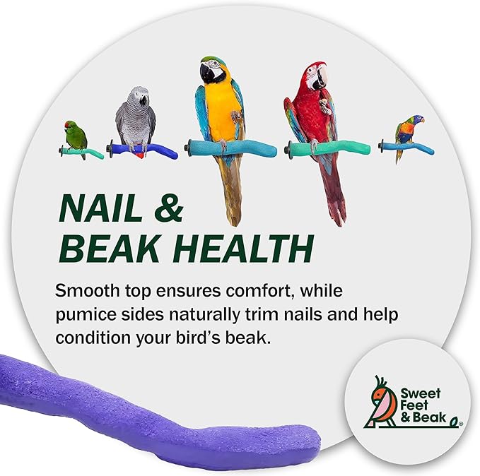 Sweet Feet and Beak Safety Pumice Perch - Trims Nails and Beak - Promotes Healthy Feet - Safe Non-Toxic Bird Supplies for Bird Cages - Small 8"