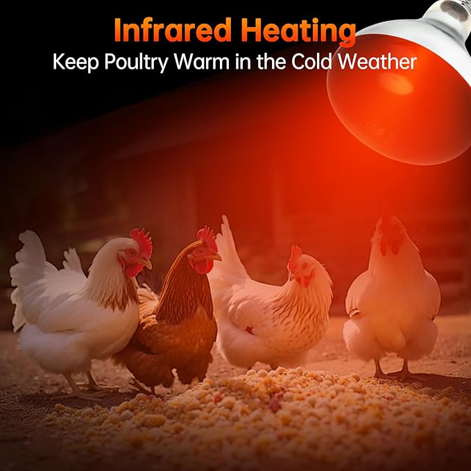 LUCKY HERP Heat Lamp for Chickens, 250 Watt Red Heat Lamp Bulbs, Infrared Heat Lamp for Chickens, Chicks, Reptile, Pets, Brooder Coop, Poultry (1 Pack)