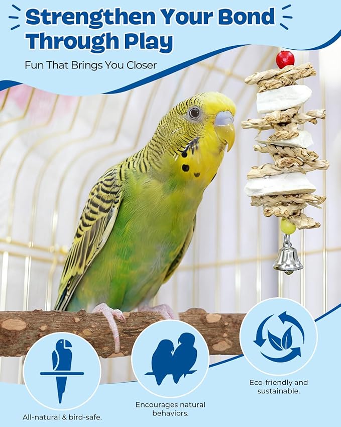 8 Pcs Parrot Toys Bird Toy Natural Wood Chew Toys with Rope Perch, Bell, Foraging Swing & Feeding Dish for Conure, Cockatiel, Budgie, Lovebird, Small Parrot Cage Accessories