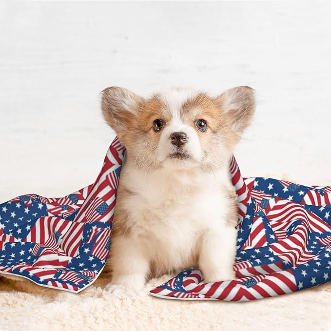 Reversible Pet Blanket for Easy Cleaning Maintenance, American Flag Plaid Pattern, Double Sided Plush Dot Design Means Double Use Between Washes for Convenience