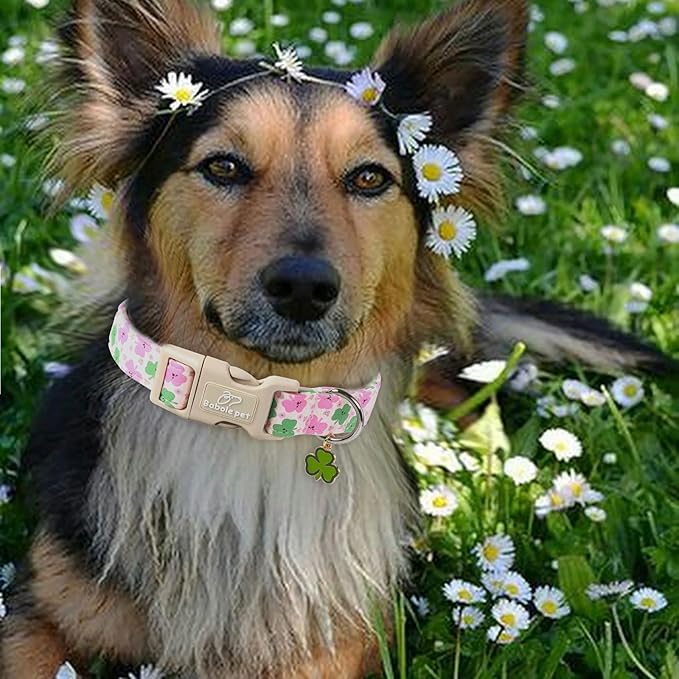 St Patricks Day Dog Collar for Small Dogs - Cute Light Pink Shamrock Girl Dog Collars, Adjustable Irish Clover Puppy Collar with Quick Release Buckle XS