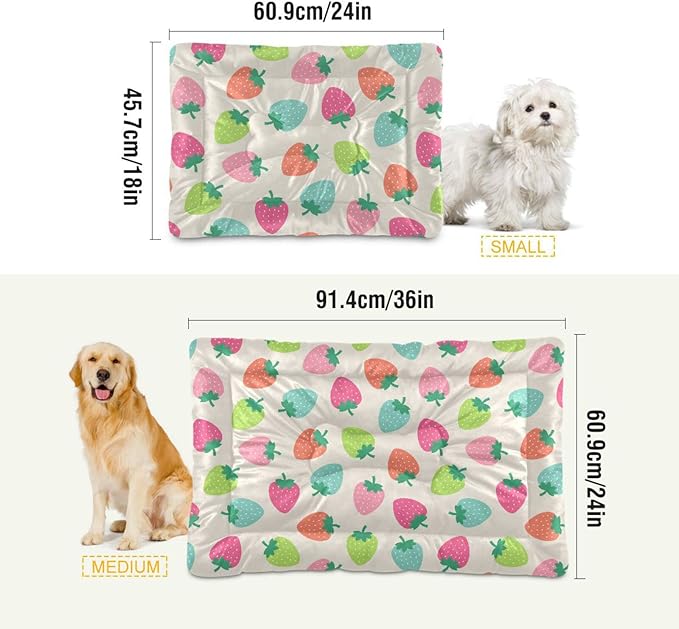 Pet Bed Strawberry Fruits Dog Bed Mat Absorbing Non Slip Pad Pet Sleeping Mat for Small, Medium, and Large Dogs Puppy Cat 36 in x 24 in