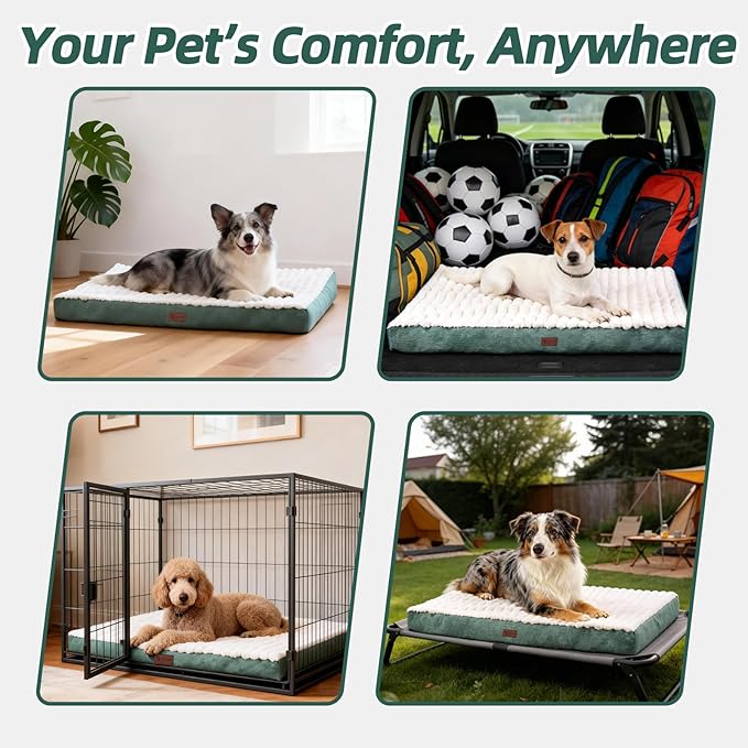 Orthopedic Dog Bed with Firm High-Density Egg Crate Foam Mattress,Soft Short Plush Surface Pet Beds,Machine Washable with Removable Cover & Non-Slip Bottom for Small Breeds (Green, 23"L x 17"W x 3"H)