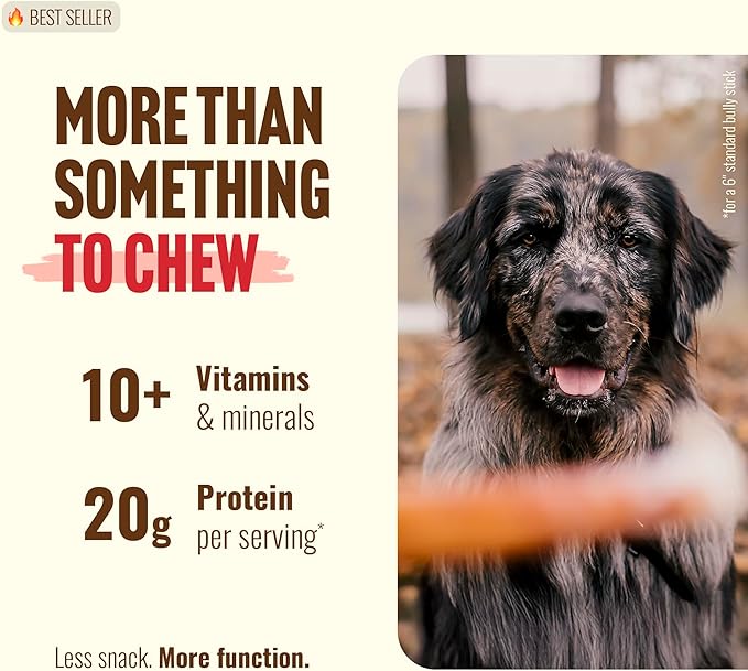 Natural Farm Odor-Free Thin Bully Sticks (6”, 10-Pack) All-Natural Long-Lasting Dog Chews, 100% Beef Pizzle, Grass-Fed, Grain-Free, Protein for Muscle Development & Energy, Perfect for Medium Chewers