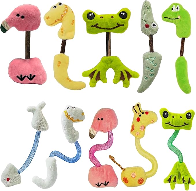 Interactive Cat Toys Set, Silvervine Chew Sticks and Cat Spring Toy, Indoor Catnip Toys for Exercise and Dental Care, for Adult Cats and Kittens (10 Packs)