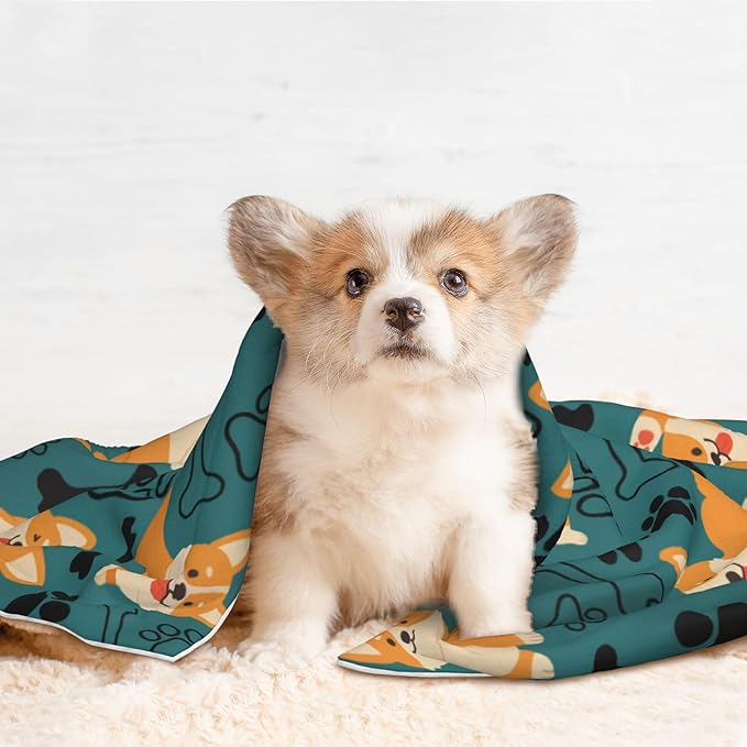 Corgi Dog Blanket for Pet - Yellow Puppy Throw Blanket 40x30 Blue Black Blankets for Puppy Dogs Cats