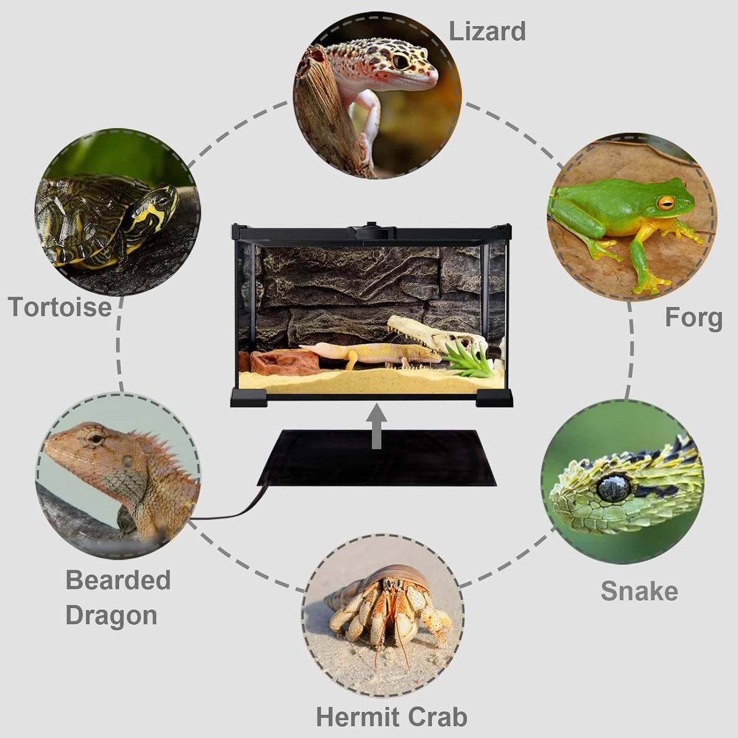 Aiicioo Reptile Heating Pad 24W - Reptile Heat Mat Pad for Bearded Dragon Leopard Gecko Hermit Crab Heater for 40 Gallon Reptile Tank
