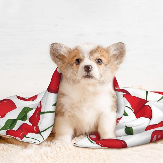 Cherry Print Soft Plush Pet Blanket, Washable Dog Blanket, Cat Fleece Throw, Puppy Bed Crate Mat & Sofa Couch Protector - Large