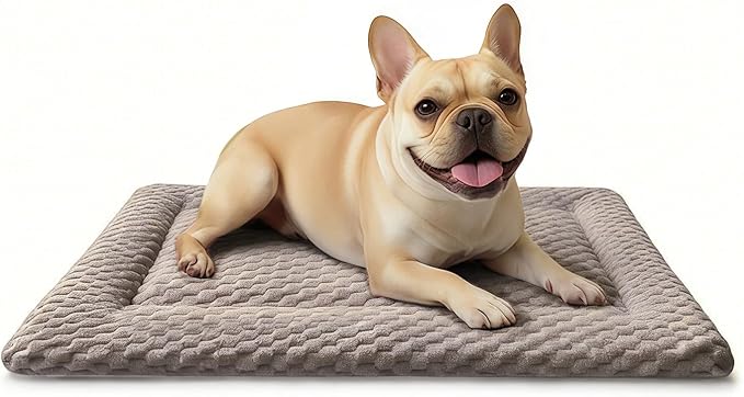 Dog Bed Mat, Dual-Sided Dog Crate Bed Mat - Ultra Soft & Machine Washable Kennel Pad for Small Dogs, All-Season Comfort Pet Bed for Crates, Travel, and Home, Light Brown, 24 x 16 Inch