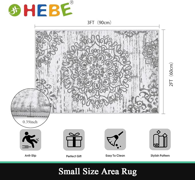 HEBE Indoor Door Mat 2'x3', Washable Distressed Boho Small Area Rug, Non Slip