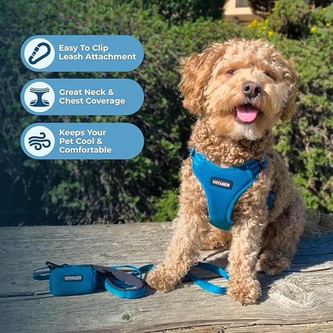 Best Pet Supplies Voyager Adjustable Step-in Flex Breathable Mesh Dog Harness for Small Medium Large Dogs Leash Set (Turquoise), M