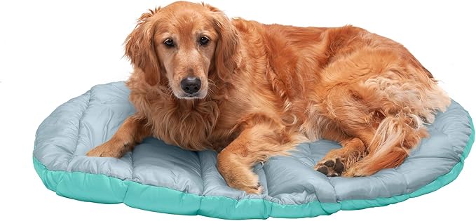 FurHaven Outdoor Travel Dog Bed for Large Dogs, Lightweight Trail Pup Travel Pillow Mat with Stuff Sack, Machine Washable & Foldable, Large, Aqua/Granite Gray