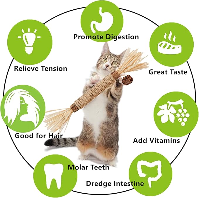 Cat Toys 3Pack Silvervine Chew Stick Kitten Treat Catnip Toy Kitty Natural Stuff Catnip for Cleaning Teeth Indoor Dental Snack Interactive