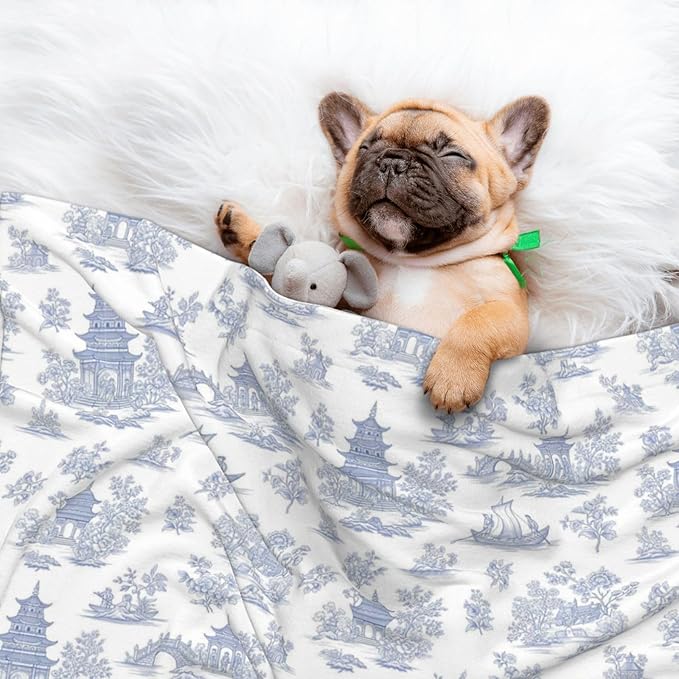 Reversible Plush Dot Pet Blanket for Dogs and Cats, Chinese Style Powder Blue Chinoiserie Toile, Ultra Soft Two Sided Design with Warm Fuzzy Side and Smooth Side for Comfort