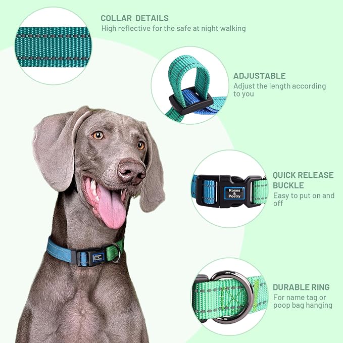 Roses&Poetry Small Dog Collar, Adjustable Personalized Durable Pet Collars for Small Medium Large Dogs (Bluegreen-S)