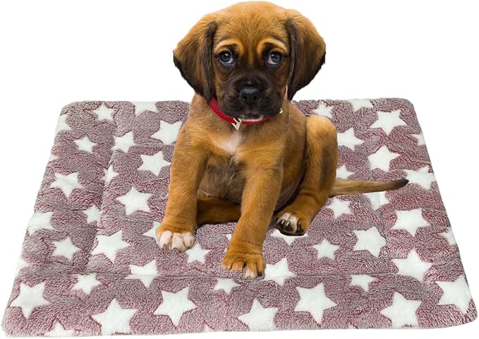 iMaylex Soft Pad Dog Bed Mat, Thicken Warm, Star Pattern, Reversible, Fluffy Pet Dog Sleeping Mattress, Cameo Brown, Large