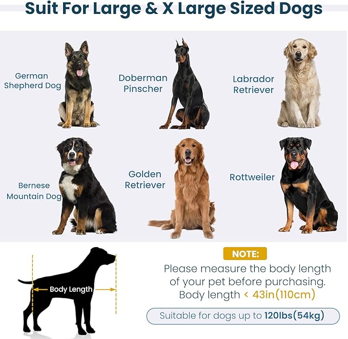 Elevated XL Large Dog Sofa with Backrest and Armrests, 55" Button Tufted Dog Couch Bed with Soft Cushion for Large Dogs, Stylish Lounging Bed Pet Couch Chair, 120Lbs Weight Capacity, Dark Blue