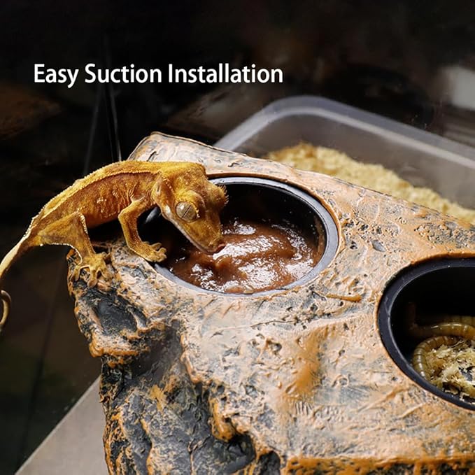 Reptile Magnetic Feeder Ledge, Reptile Food and Water Dish with 2PCS Bowls Feeding Cups for Lizards, Crested Gecko, Lizards and Chameleons Pets, Easy Install Terrarium Tank Accessory (Dual Feeder)