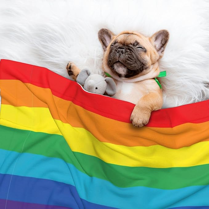 Reversible Plush Pet Blanket for Puppies Kittens, LGBT Pride Rainbow Flag, Double Sided Gentle Dot Texture for New Pets Adjusting to Home Environment Softly