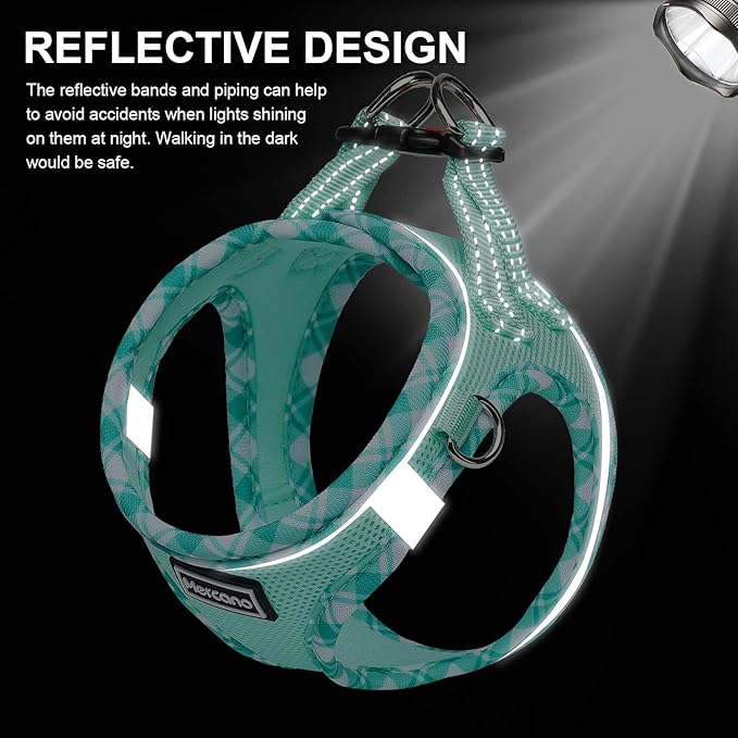 Mercano Soft Mesh Dog Harness and Leash Set, No-Chock Step-in Reflective Breathable Lightweight Easy Walk Vest Harnesses with Safety Buckle for Small Dogs, Cats (Light Green, L)
