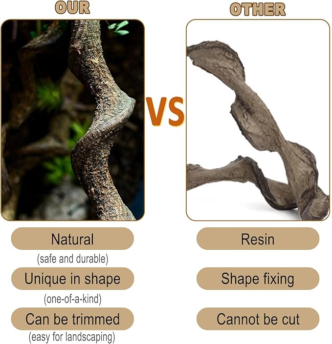 BNOSDM Reptile Forest Climbing Branch Decor Crested Gecko Climb Wood Natural Branches Tree for Snake Frog Chameleon Spider Bearded Dragon Terrarium Habitat Tank Accessories,6PCS
