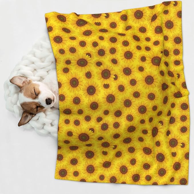 Dog and Cat Blanket in One, Beautiful Sunrise Sunflower Art, Double Sided Plush Throw with Raised Dot Pattern on One Side and Flat Velvet on Other for Variety