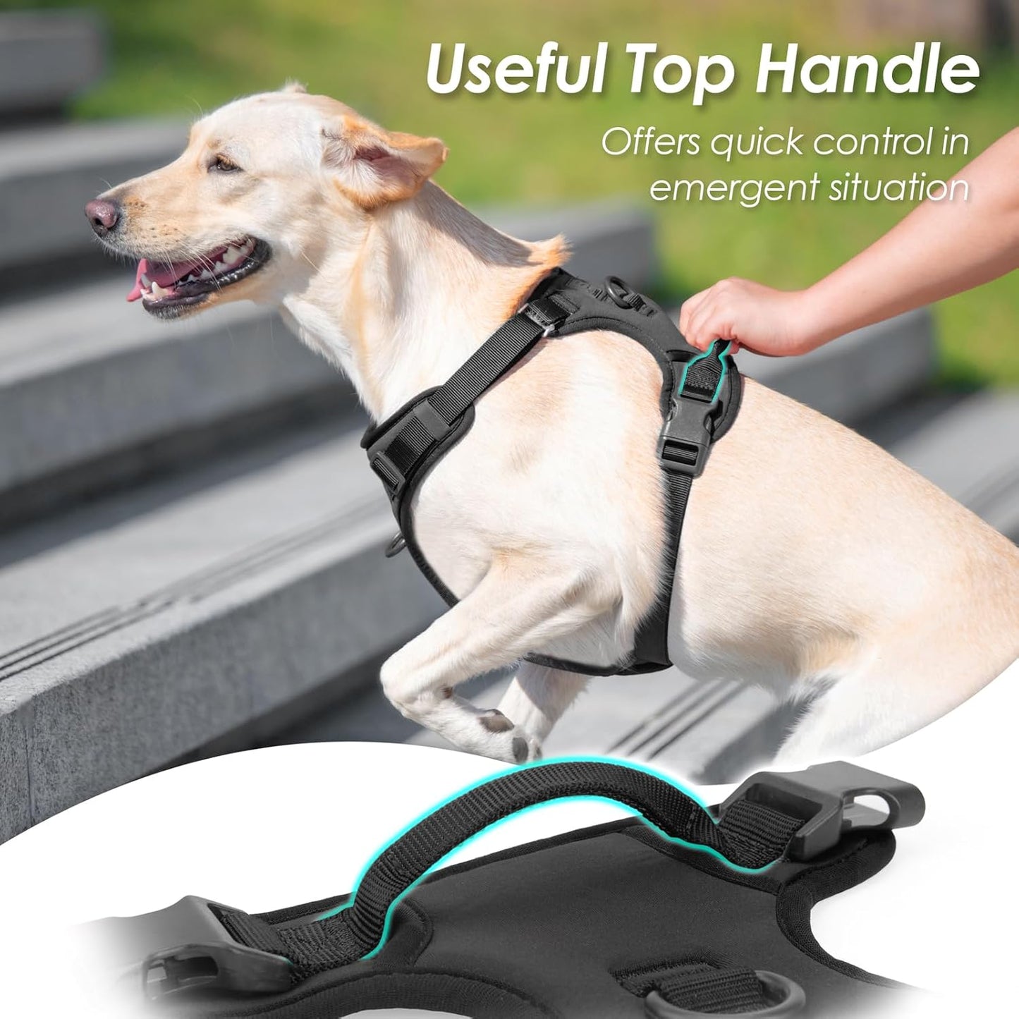 No Pull Dog Harness, Puppy Vest with Front Clip for Small Medium Large Sized Dog(Black,XS)