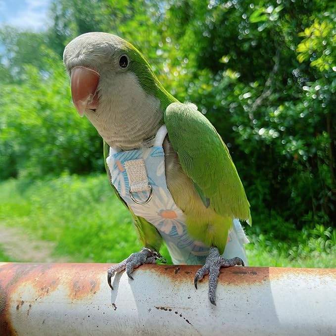 Snap-Closure Parrot Diapers with Adjustable Leash - Washable Bird Flight Suits for Cockatiels, Sun Conures & Quaker Parrots Secure & Chew-Resistant (M – Little Sun/Budgie + 1m Rope)