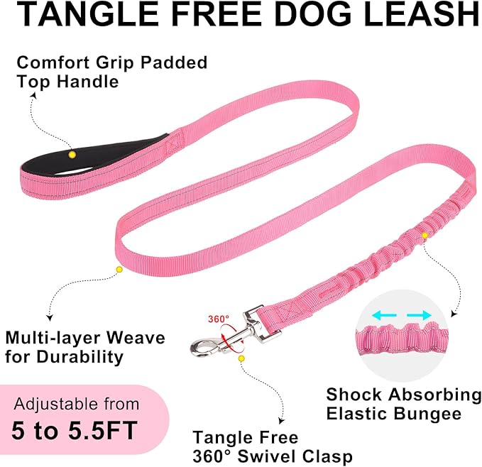 BEAUTYZOO Dog Harness Small Sized Dogs,2.0 Upgraded No Pull Front Adjustable Dog Harness and Leash Set,Escape Proof Soft Puppy Vest with Handle,Reflective Lightweight Step in Harness for Girl Boy Dogs