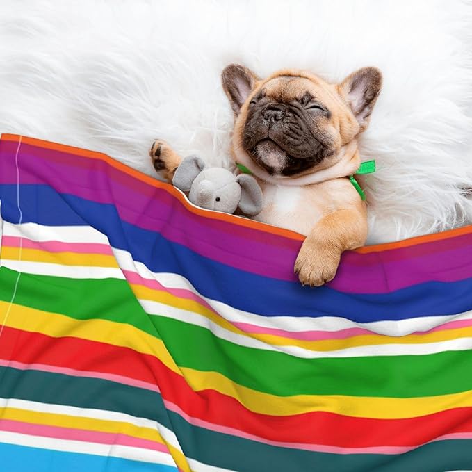 Pet Blanket for Couches and Beds, Novel Colorful Mexican Blanket Stripes, Reversible Double Sided Plush Design with Soft Bumpy Texture and Smooth Surface, Furniture Protector