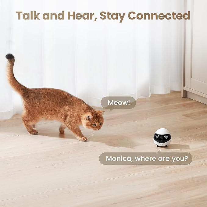 Enabot EBO Air 2 FamilyBot Indoor Security Camera Robot: 2K Pet Camera, Movable Home Robot, Custom Facial Expression, Auto-Recharge, Battery-Operated, 2-Way Talk, Night Vision(Jay Blue)