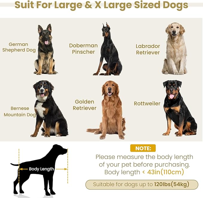 Elevated XL Large Dog Sofa with Backrest and Armrests, 55" Button Tufted Dog Couch Bed with Soft Cushion for Large Dogs, Stylish Lounging Bed Pet Couch Chair, 120Lbs Weight Capacity, Beige