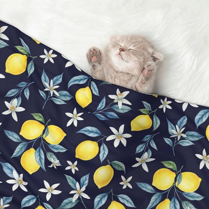 Pet Blanket for Travel and Home, Citrus Fruit Flower Lemon Green, Reversible Plush Dot Design with Soft Grip Texture on One Side Perfect for Car Seats Moving Vehicles