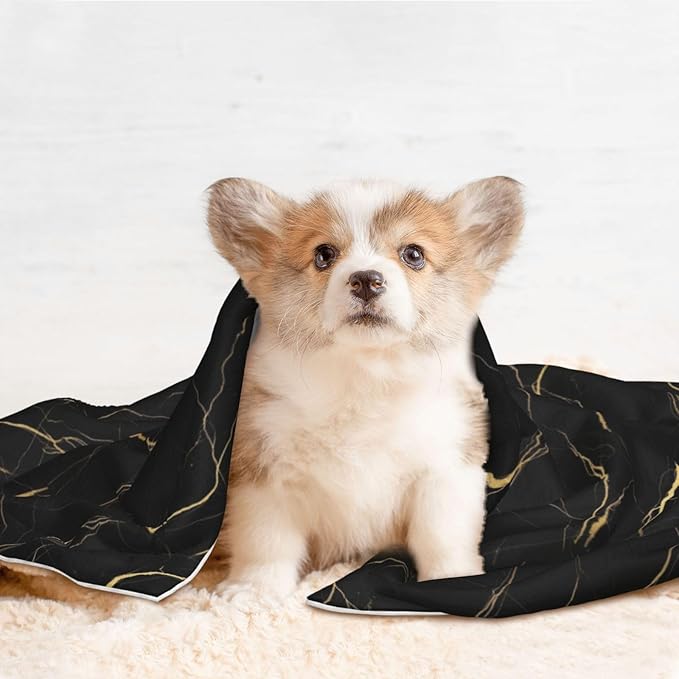 Reversible Plush Dot Pet Blanket for Dogs and Cats, Chic Black and Gold Marble Texture, Ultra Soft Two Sided Design with Warm Fuzzy Side and Smooth Side for Comfort