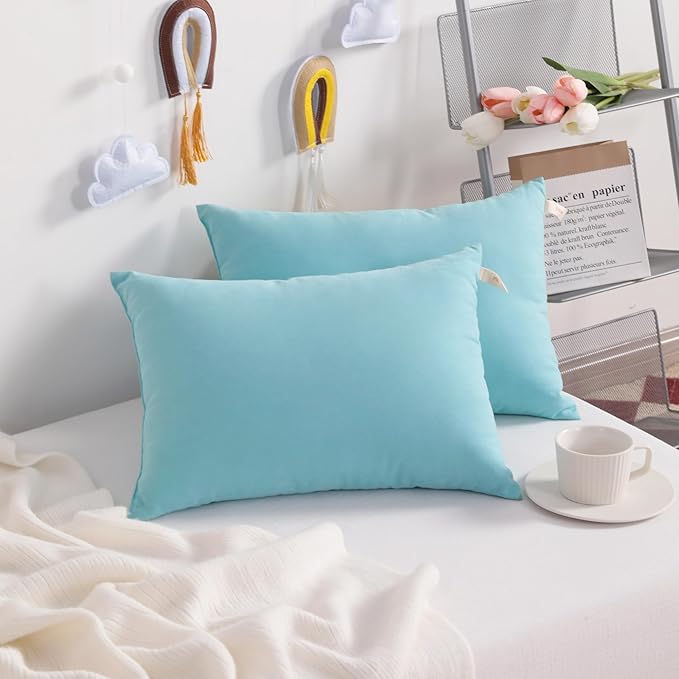 NTBAY Toddler Pillows, Down Alternative 13"x18" Pillows, Machine Washable - Soft and Breathable Travel Small Pillows for Sleeping, Ideal for Daycare, Crib, Cot, Aqua