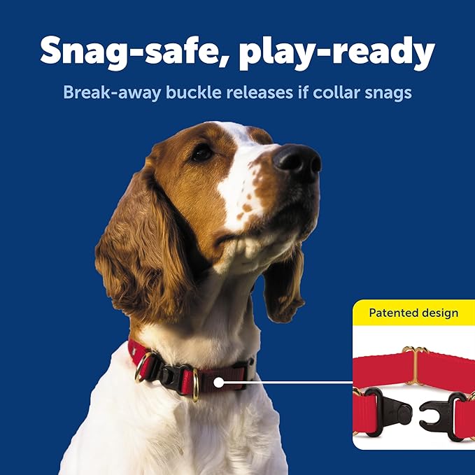 PetSafe KeepSafe Collar for Dogs - Protects Against Collar Accidents - Long Lasting - Durable - Adjustable - Breakaway - Outdoor-Safe - Large - 1 In. Wide - Red