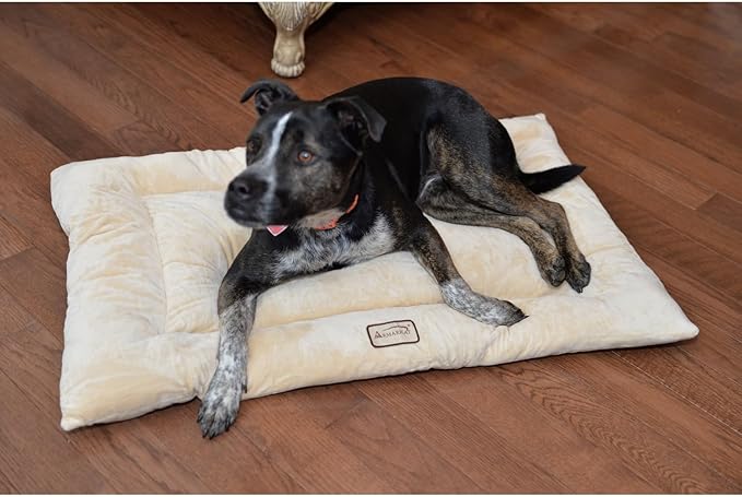Large Dog Bed Mat - Soft Pet Cushion Pad for Crate - 35" L x 22" W - Plush Comfort for Big Breeds