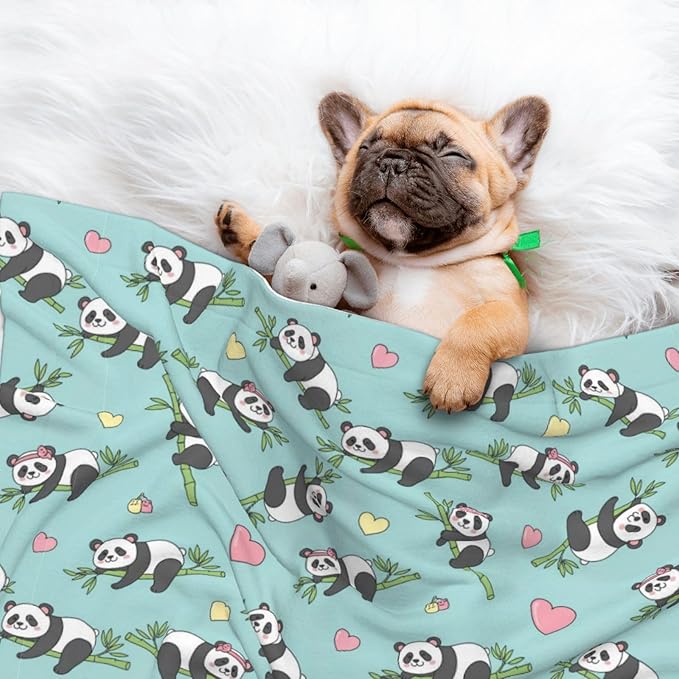 Pet Blanket for Couches and Beds, Chinese Cute Panda, Reversible Double Sided Plush Design with Soft Bumpy Texture and Smooth Surface, Furniture Protector