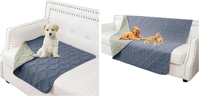 Waterproof Dog Blanket, Small Pet Couch Covers for Sofa, Chair Bed Furniture Protector from Dogs Washable and Reversible-(30"x30",Blue+Green and 52"x82", Blue+Green)