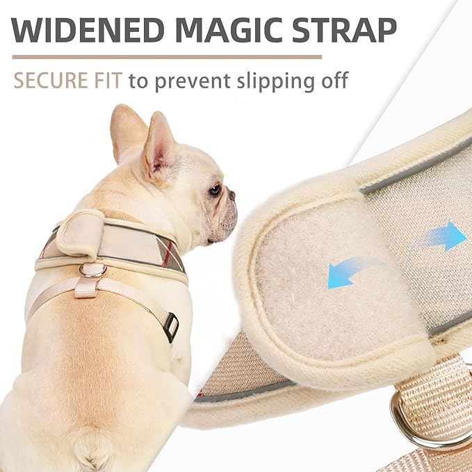 PUPTECK Soft Mesh Dog Harness Small Sized and Leash Set Pet Puppy Cat Comfort Padded Vest No Pull Harnesses, Beige Plaid, Openable Neck, New M