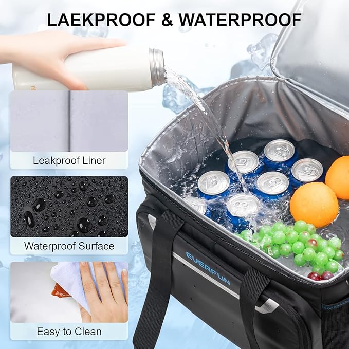 EVERFUN Small Cooler Lunch Box Mini Leak-Proof Soft Double Deck 24 Can Personal Insulated Collapsible Portable Waterproof Lunch Bag Ice Chest for Men Women Work Travel Car Picnic Beach