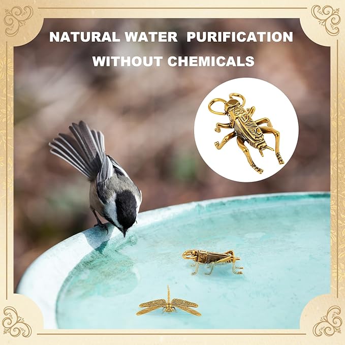 Moxweyeni 4 Pcs Mini Bird Bath Copper Ornaments Bird Bath Purification Disk Birdbath Cleaner Single 1 oz Weight Universal Fit for Outdoor Birdbaths, Bowl(Butterfly, Cricket, Bee, Dragonfly)