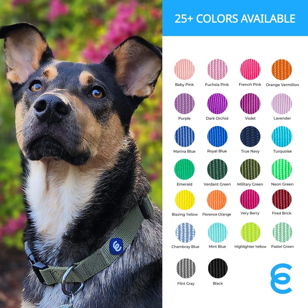 Blueberry Pet Essentials X-Small Dog Collar in Neon Green | Adjustable & Eco-Friendly Durable Nylon Strap | Classic Collar for X-Small Dogs, Boy & Girl Pets