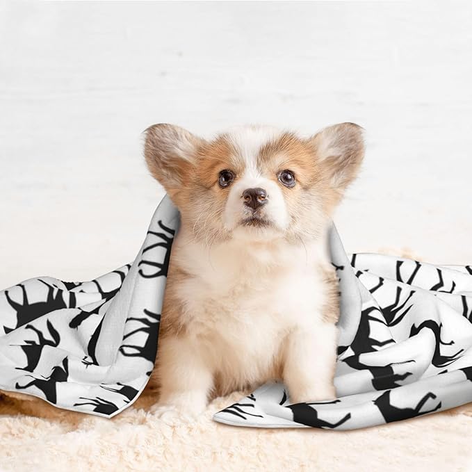 Dog and Cat Blanket in One, Abstract Horse, Double Sided Plush Throw with Raised Dot Pattern on One Side and Flat Velvet on Other for Variety