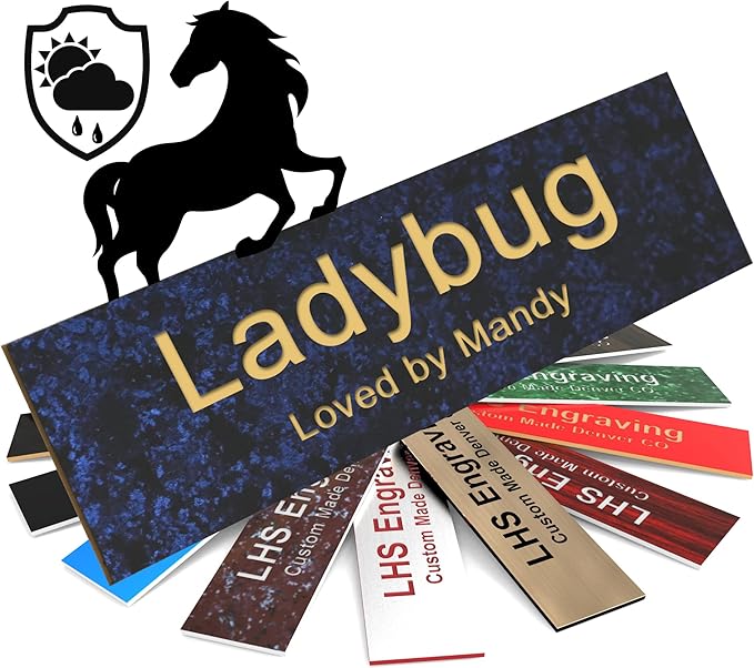 Horse Stall Name Plate, 2x10 Personalized Stall Signs, UV Protected, All Weather Adhesive, Hanging, Mounting or Other, Celestial Blue Plastic Gold Letters - Made in USA - S1
