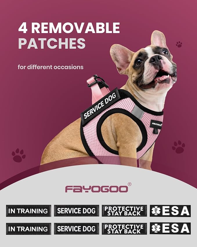 FAYOGOO Service Dog Vest for Small and Medium Breed - Lightweight Dog Harness with 6PCS Removable Patches - Puppy Harness and Leash Set for Walking, Training
